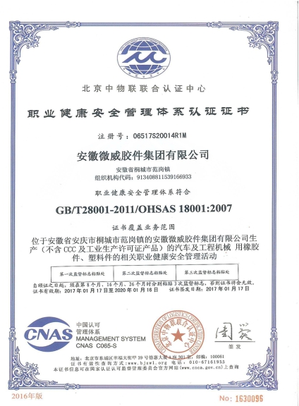 Occupational Health System certificate