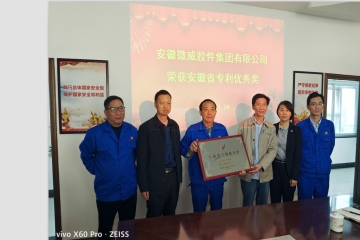 Anhui Weiwei Rubber Parts Group Co., Ltd. won the Anhui Patent Excellence Award